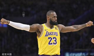 具专业性并 具专业性并